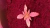 20150227_144219.jpg