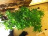 IMG_2057.jpg IMG_2057.jpg