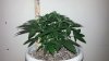 20150228_165236.jpg