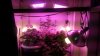 20150228_175829.jpg