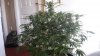 20150302_122545.jpg