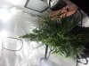 IMG_20150302_154136.jpg