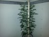 20150303_081916.jpg