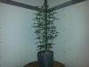 20150303_081820.jpg