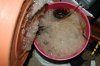 Compost Tea Pack add-ons 001.jpg