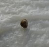 DSC00524.jpg