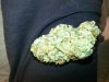 G13 A.K NUG.jpg