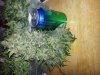 Think Dif. Day 124 main cola.jpg