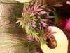 20150310_003548.jpg
