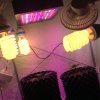 IMG_0053.jpg