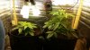 IMG-20150307-WA0001.jpg