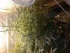 6[1].jpg