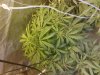 5[1].jpg