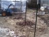 100_4973.jpg 100_4973.jpg