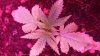 20150207_134723.jpg
