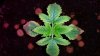 20150207_134757.jpg