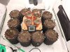 DSCN0829.jpg