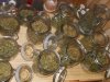 DSCN0813.jpg