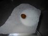 DSCN0860.jpg