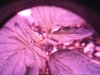 SUNP0058.JPG SUNP0058.JPG