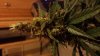 20150312_220753.jpg