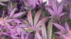 20150314_095609.jpg