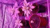 20150314_144627.jpg
