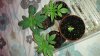 20150314_144520.jpg