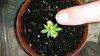 20150314_144437.jpg