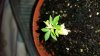 20150314_144355.jpg