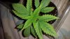 20150314_144327.jpg