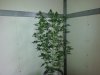 20150314_102714.jpg