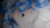 20150315_132856.jpg