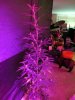 3-IMG_0627.jpg