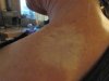 IMG_0466.JPG