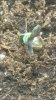 20150221_171145.jpg