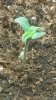 20150222_092628.jpg