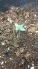 20150223_170059.jpg
