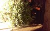 20150319_081836.jpg