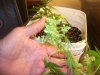 100_5063.jpg