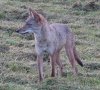 DSC00209.jpg