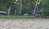 IMG_8597.jpg IMG_8597.jpg