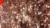 20150320_002948.jpg