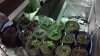 20150320_083147.jpg