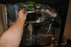 DSC_2724.jpg