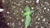 20150321_163846.jpg