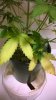 WP_20150323_078.jpg WP_20150323_078.jpg