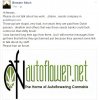 ScreenHunter_244 Mar. 26 19.43.jpg