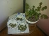 20150326_144023.jpg