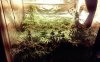 20150323_073403.jpg